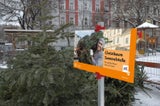 Aus Christbäumen wird Strom und Fernwärme.