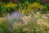 Ziergräser sind nicht nur die ideale Kulisse für Sommerblüher, sondern füllen auch die Lücke, wenn im Frühherbst langsam die Farben in den Beeten verblassen. 
