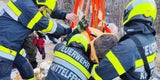Esel Rettung St. Margarethen