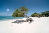 Beliebtes Urlaubsziel der Österreicher: Hier liegt der schönste Strand der Welt