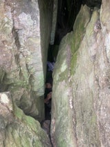 BushwalkerAustralien