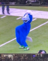 Nacktes NFL-Maskottchen sorgt für Eklat