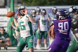 Vienna Vikings Danube Dragons