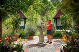 Toskana-Garten: Naturstein, Zitrusbäume und Palmen: In diesem Gartenraum herrscht ab dem Frühjahr mediterrane Stimmung. Karl Ploberger ist auf den Toskana-Garten daher besonders stolz.