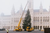 ChristkindlmarktRathausplatz