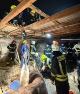 Pferd nach Sturz: Erst gerettet, dann verendet