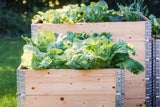 Garten-Trends 2025: So verwandeln Sie Ihren Garten in eine grüne Oase