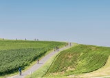 Die schönsten Frühlings-Radtouren im Südburgenland