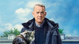 Die aktuellen Streaming-Highlights (02. - 08.11.)