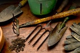 Diese wichtigen Gartenarbeiten darf man im Februar nicht verschlafen
