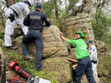 BushwalkerAustralien