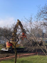 Bäume fallen für Park von André Heller
