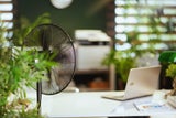 Sommerhitze im Büro? So können Sie trotz Tropen-Temperaturen arbeiten