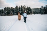 Winterwandern lockt nach NÖ