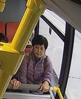 chinesin okkultbetrug