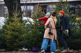 Christbaum kaufen: Auf diese Tipps sollten Sie achten