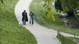Viennale startet heute mit Kurzfilm und Star-Power