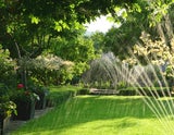 Garten allein zu Hause: So machen Sie Rasen & Co. urlaubsfit