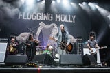 "Sehr ernster Gesundheitszustand": Party-Band fällt für Nova Rock aus