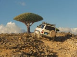 4 x 4 Abenteuer. Purer Mitfahrspaß!