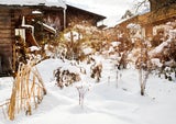So wird der Garten im verschneiten Winter zum Paradies