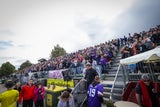Vienna Vikings