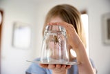 Darum kommen im September so viele Spinnen ins Haus - und so halten wir sie fern