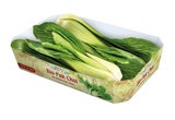 Pak Choi (chinesischer Blätterkohl) ist eine beliebtes Gemüse in der Asia-Kitchen.