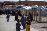 Camp Al-Roj