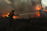 Feuer LA
