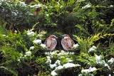 Achtung: Diese Gartenarbeit ist nur noch bis Ende Februar erlaubt