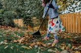 Achtung: Diese Gartenarbeiten sollten Sie im Winter unbedingt vermeiden
