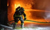 Brand Gänse Hund Erla NÖ