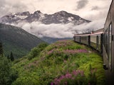 US-Zugrouten: Traumhafte Reisen mit der Bahn