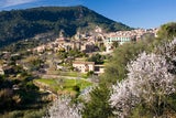 Valdemossa/Mallorca. Die Berge rund um den malerischen Ort leuchten im Frühjahr rosa-weiß.