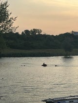 Suchaktion Donau