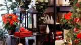 Expertin verrät: Die wichtigsten Deko-Trends für den Advent
