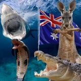 Das tödlichste Tier Australiens