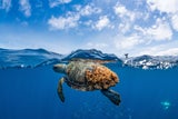 Die schönsten Tauch- und Schnorchel-Spots in Europa