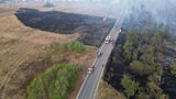 Waldbrand Gänserndorf