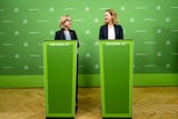 Grüne Lobau-Tunnel Plakat Pühringer Gewessler