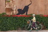 Banksy Katze