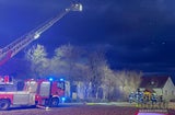 Tierdrama in NÖ: 62 Schafe in Flammen verendet