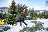Zweit-Christbäume als Deko im Advent immer beliebter