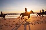 Urlaub für Sport-Fans: Tipps für einen Aktivurlaub auf den Balearen
