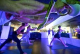 Eine Kugelpython, während der Schlangen-Yoga-Session.&nbsp;