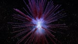 Supernova