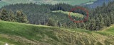 Paragleiter