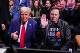 Trump Musk