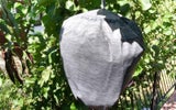 Der "Waspinator" lässt Wespen vor Schreck erstarren.